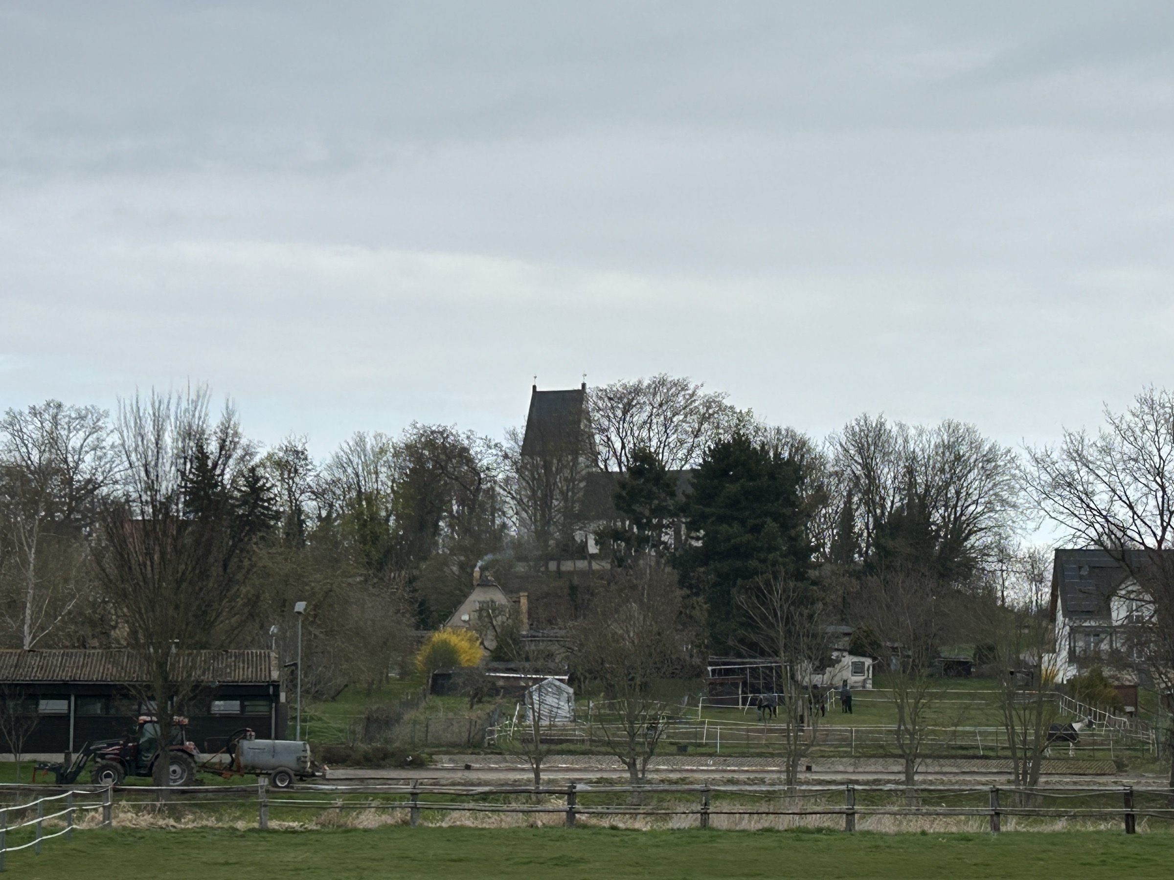 Blick vom Gartenzaun über grüne Koppel mit Pferden zum Kirchturm in Panitzsch